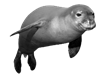 Image result for seal png