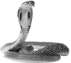 Snake HD PNG Transparent Snake HD.PNG Images. | PlusPNG