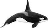 Image result for WHALE