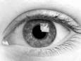 Image result for structure of human eye
