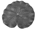 Image result for lotus leaf