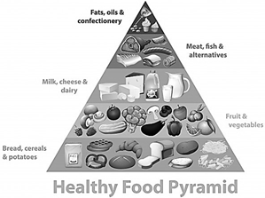 Free Vector | Healthy food pyramid chart
