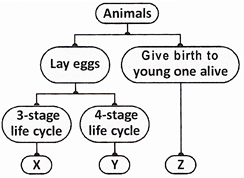 Question Bank for 4th Class Science Reproduction in Animals Animal Life -  II (Reproduction in Animals) 