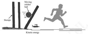 Image result for Moving ball and a running boy possesses kinetic energy moving cricket ball