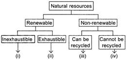 Flow Chart Showing Exhaustible And Inexhaustible Resources