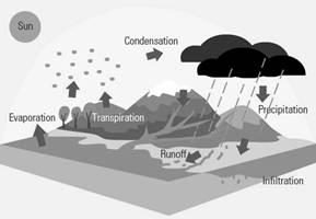 Image result for Water Cycle