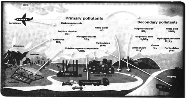 essay on pollution class 5th